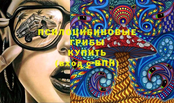 кокс Михайлов