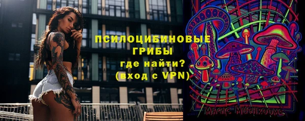 крисы Михайловка